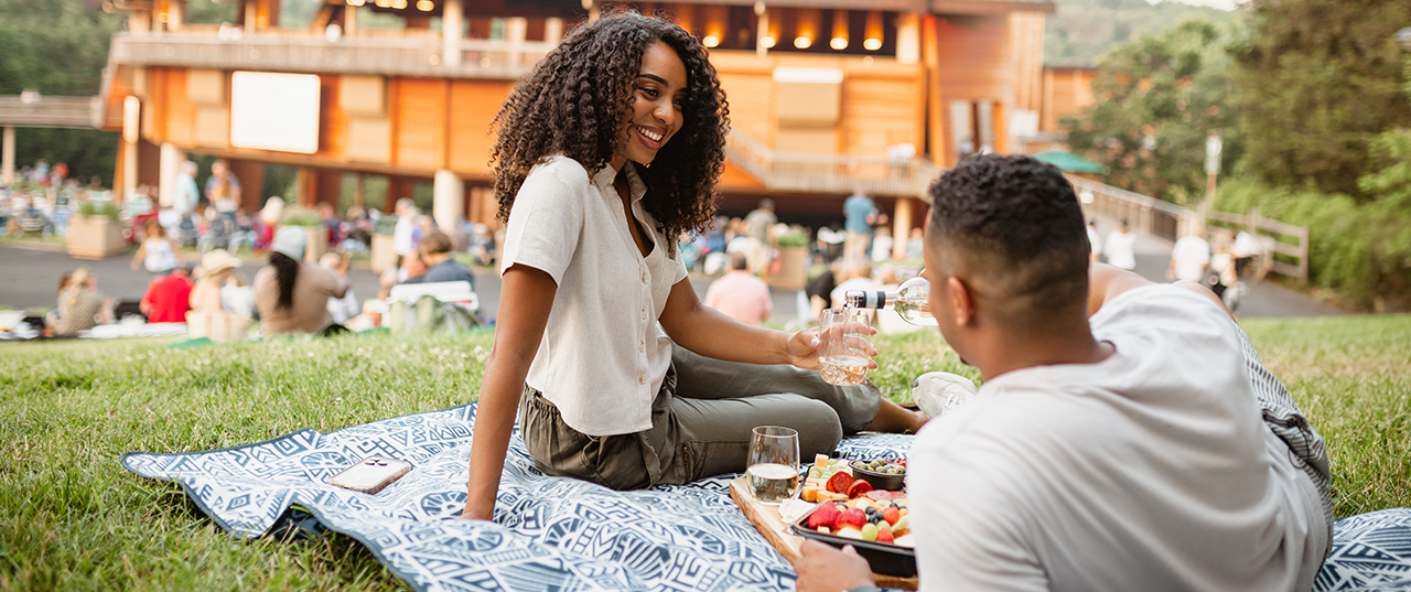 Couple having a romantic picnic